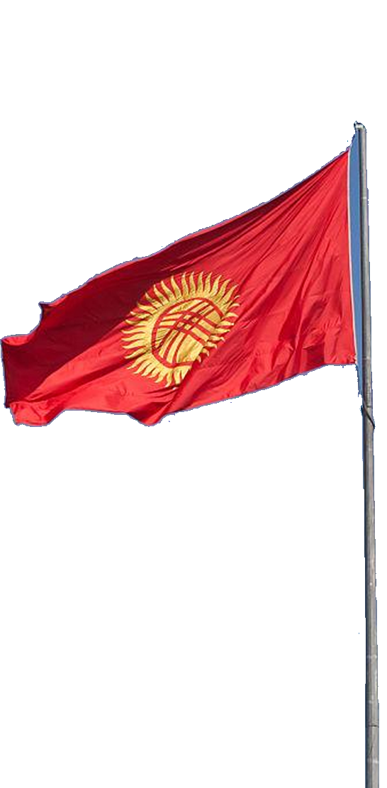 郁金香国际生殖中心_吉尔吉斯斯坦国旗