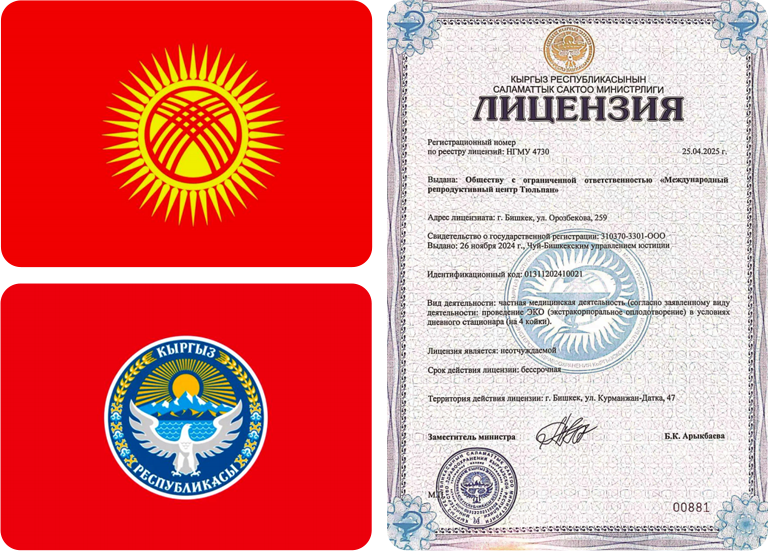 郁金香国际生殖中心政府认证牌照-吉尔吉斯斯坦卫生部核准执业资质 